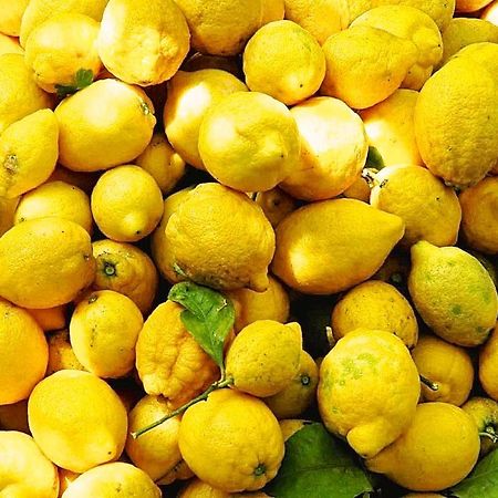 Il Giardino Incantato Монтеросо ал Маре Екстериор снимка